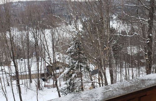 Sainte-Agathe-des-Monts Cabin | Our little castle