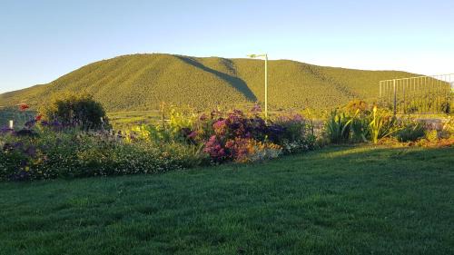 Tsiv'on Villa | Our Mount Meron Orchard - your perfect getaway