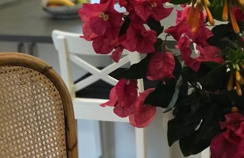 Ballina Cottage | Our Yellow Door Cottage on Crane - CENTRAL & COSY