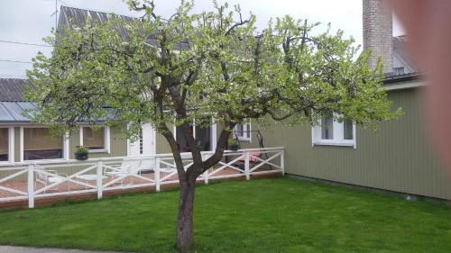 Kuressaare Bed & Breakfast | Ovelia B&B