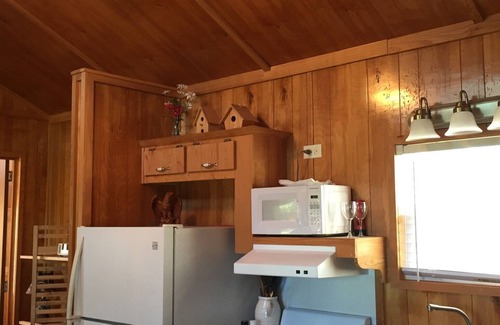 Byrdstown Cabin | Overlooking a Slice of Heaven Near Dale Hollow Lake - Unit A - Pet Friendly