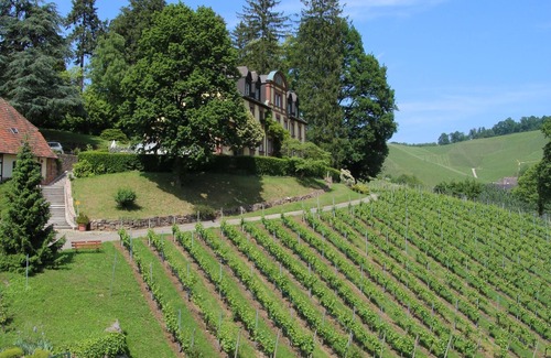 Durbach Apartment | Overnight stay in the winery Neveu - Schlossblick