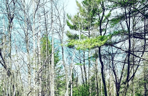 Mansonville Ski Chalet | Owl's Head Family Cabin