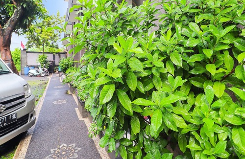 Denpasar Utara Hotel | OYO 91567 Hotel Adi Guna