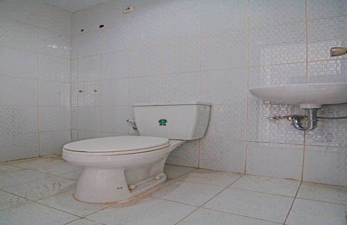 Pekanbaru Hotel | OYO 92300 Koala House