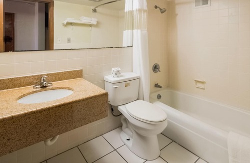 Morton Hotel | OYO Hotel Morton/East Peoria I-74
