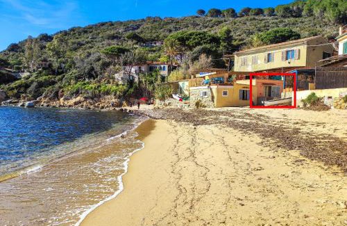 Scaglieri Apartment | Oyster Beach - Direttamente sulla Spiaggia del Forno