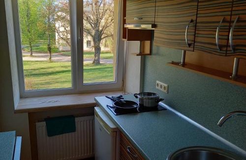 Janmuiza Apartment | Ozolu gatve 2- no Cēsīm 7 km