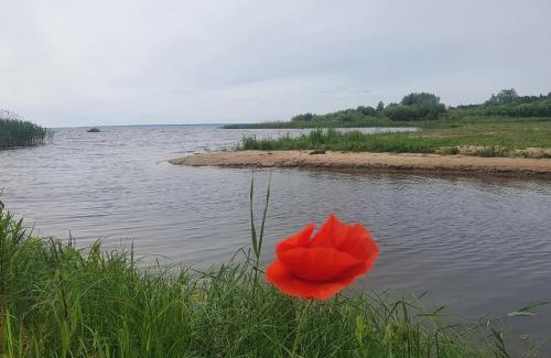 Vilusi Other | Päevatalu Camping