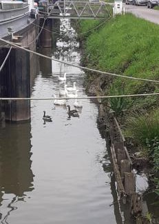 Annezin Boat Rental | Péniche à Béthune