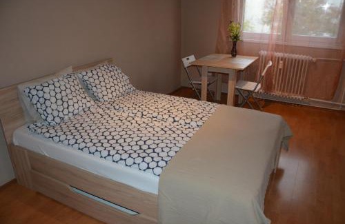 Jozsef Attila-lakotelep Apartment | Pötyi Flat