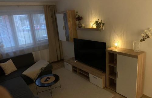Znojmo Apartment | Přízemí v parku. (Apartment no.8)