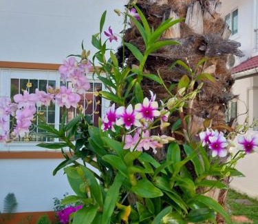 Hang Dong District House | P and A Thai Lanna Resort