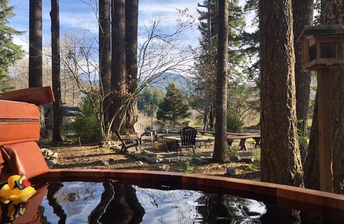 Packwood House | Packwood Pad@Mt. Rainier-Wifi-Hike-Ski-Hot tub