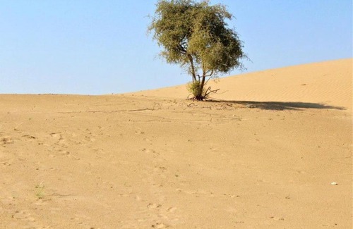 Khuri Hotel | Pahchan Guest house Barna