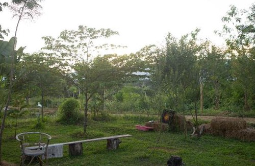 Pai Other | Pai Seedlings Foundation