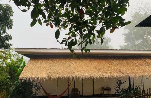 Pai House | Pai Yard Guest House