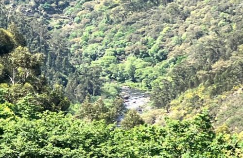 Alvarenga House | Paiva Valley