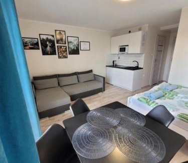 gmina Karsin Apartment | PAKLADA 2 Pokój typu studio