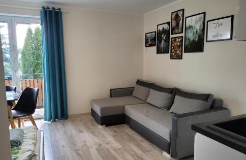gmina Karsin Apartment | PAKLADA 2 Pokój typu studio