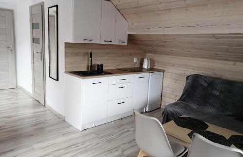 gmina Karsin Apartment | PAKLADA 3 Pokój typu studio