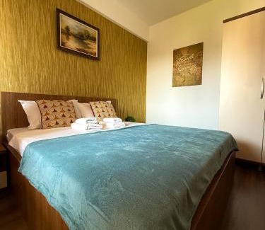Iasi Apartment | Palace View Apartment 2 rooms