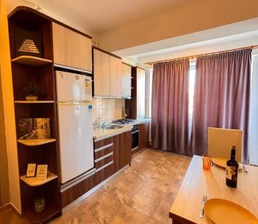 Iasi Apartment | Palace View Apartment 2 rooms