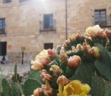 Guzman Hotel | Palacio de Guzmán