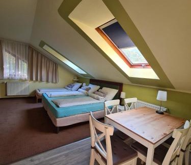 Miskolc Bed & Breakfast | Palantír Panzió