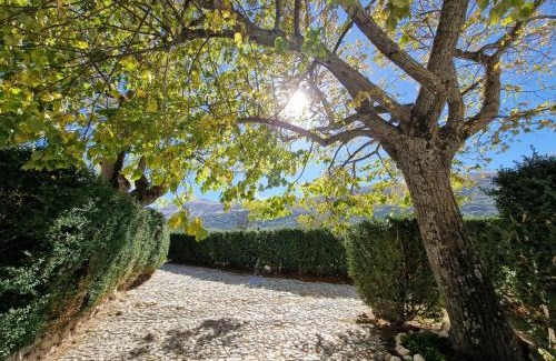Cavalletto Bed & Breakfast | PALAZZO PALITTI