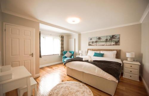 Reading House | Palm Cottage
