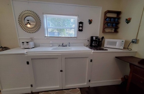 Tarpon Springs House | Palm Cottage * King Bed * Tropical Yard