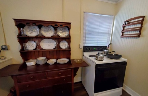 Tarpon Springs House | Palm Cottage * King Bed * Tropical Yard