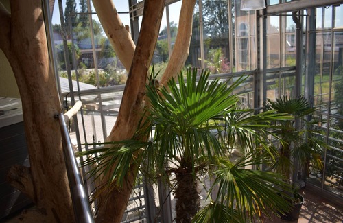 Entraching Condo | Palm Garden Luxury Pure