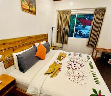 Maafushi Hotel | Palm Grove Beach
