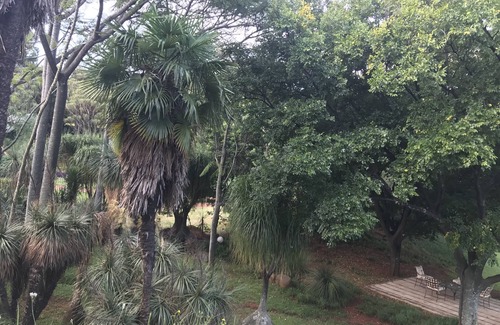 Waparand Villa | Palm Villa Room1 Exclusive en-suite room with private Patio on ground floor