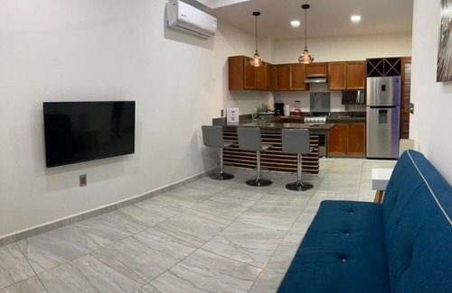 R Apartment | PALMAS DE CHAHUE 4 (474 SF)