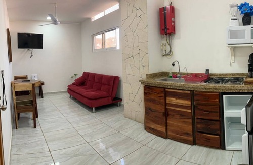 R Apartment | PALMAS DE CHAHUE A (409 SF)