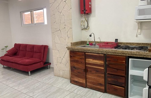 R Apartment | PALMAS DE CHAHUE A (409 SF)