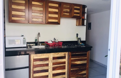 R Condo | PALMAS DE CHAHUE D (516 SF)