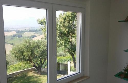 Offida House | Palme e vigne