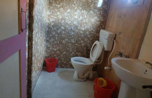 Leh Cabin | Pangtso cottage
