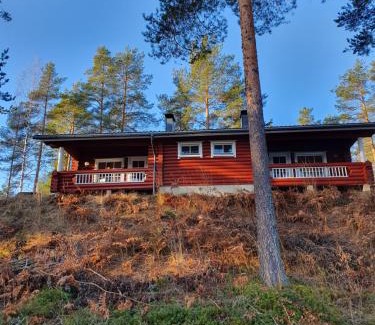 Punkaharju Villa | Pankkotupa 65 "13А"