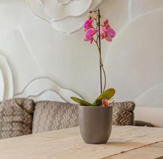 Szentendrei Apartment | Pannónia Szentendre