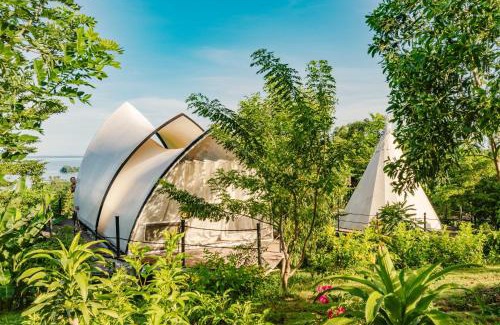 Dinh Quan Other | Panorama Glamping