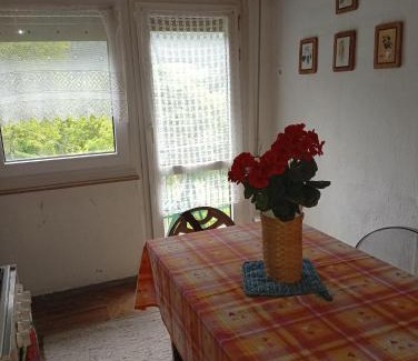 Pieve di Cadore Apartment | Panorama mountains Dolomiti