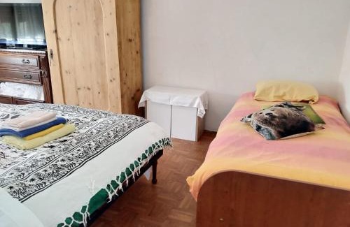 Pieve di Cadore Apartment | Panorama mountains Dolomiti