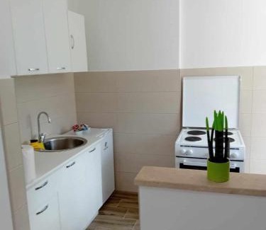 Pluzine Apartment | Panorama Plužine Apartment