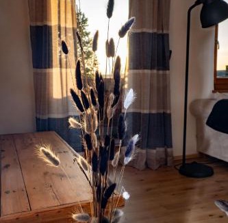 Bischofsgruen Apartment | Panoramaapartment am Ochsenkopf