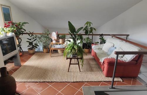 San Feliciano House | Panorami sul Trasimeno